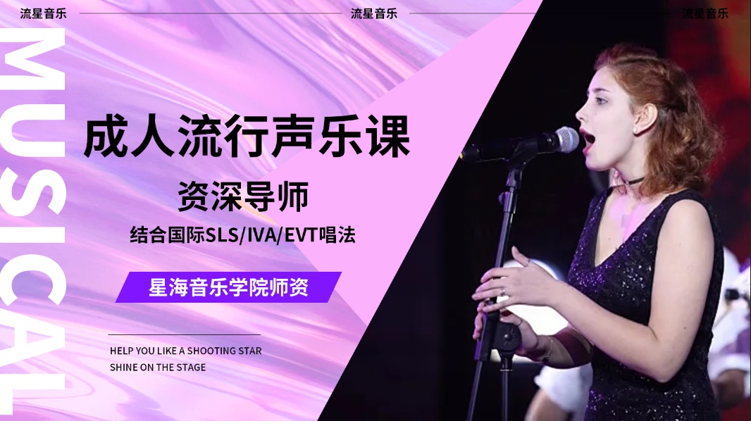 成人流星声乐体验课（资深老师）